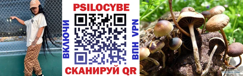Галлюциногенные грибы прущие грибы  купить закладку  Нурлат 