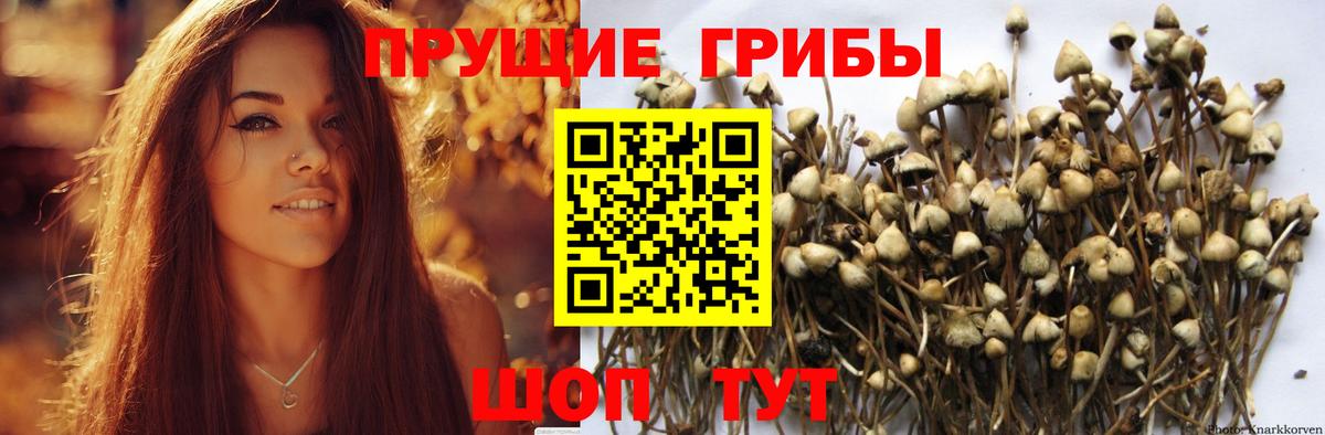 Псилоцибиновые грибы ЛСД  Вход с VPN  Нурлат 